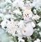 Christmas decoration tree snowman snowflake