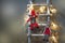 Christmas decorations. Dwarves in red hats. Garlands and Stairs