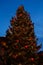 Christmas decorations on festive fir tree on main square of Tallinn, Estonia