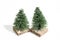 Christmas decorations, nativity scene trees for diorama isolated