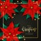 Christmas Decorations with Poinsettia and Christmas Lights on Black Knitted Background
