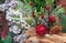 Christmas decorations red apple, pine cone and twig with red berries