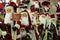 Christmas decorations - Santa Claus