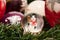 Christmas decorations. Shiny magical crystal ball with snowman and Christmas balls on tree twig. Snowing dome with xmas background