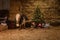 Christmas decorations on the stables. A pony with a wreath around his neck. Christmas tree with balloons, photo zone for