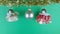 Christmas Decorations Video Green Background