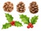 Christmas decorations watercolor style. Holly berry, pine, pine cone, spruce, isolated on white background