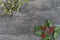 Christmas decorative background with decorations, holly, mistletoe on old grey vintage