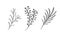 Christmas decorative branch elements design floral leaves in scandinavian style. Vector handdraw illustration for xmas