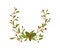 Christmas Decorative Floral Elements with Hawthorn Berries and Twigs