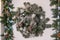 Christmas decorative wreath of holly, ivy, mistletoe, cedar and leyland leaf sprigs with pine cones over white