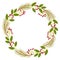 Christmas decorative wreath of natural holly, ivy, mistletoe on white background