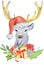 Christmas deer with winter decorations Santa hat