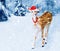 Christmas deer in winter forest with snow fall