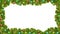 Christmas design festive elements with green, dark green, blue and red fir branches, decorations, candy, stars and holly with Luma