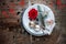 Christmas dinner in shabby chic style with Hearts