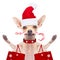 Christmas dog as santa claus