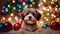 christmas dog with christmas tree A humorous Christmas snapshot of a Havanese puppy dog tangled in colorful string lights,