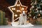 christmas dog. jack russell in a festive home interior. holidays with a pet