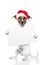 Christmas dog placeholder