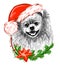 Christmas dog Pomeranian in a Santa Claus hat. Freehand sketch in vector.