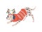 Christmas dog in red pattern sweater and deer horns decorated with color balls