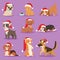 Christmas dog vector cute cartoon puppy characters illustration home pets doggy different Xmas celebrate poses in Santa