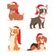 Christmas dog vector cute cartoon puppy characters illustration home pets doggy different Xmas celebrate poses in Santa