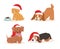 Christmas dog vector cute cartoon puppy characters illustration home pets doggy different Xmas celebrate poses in Santa