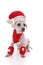 Christmas dog wearing Santa hat, scarf leg warmers