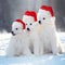 Christmas dogs. Samoyed puppies