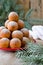 Christmas donuts with powdered sugar