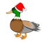 A Christmas duck isolated on a white background