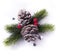 Christmas element on white background; top view