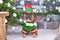 Christmas elf dog. Funny French Bulldog  wearing traditional cute elf costume with arms holding present next to Christmas tree