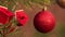 On Christmas evening, a red shiny ball hangs on the tree.