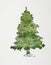 Christmas evergreen pine tree.