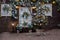 Christmas facade of a wooden house with Christmas trees, wreath, garlands