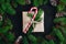 Christmas festive layout background with spruce branches, cones and red garland and present box with candy cane