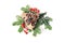 Christmas festive styled composition. Winter floral arrangement. Pine cones, fir tree branches, red rowan berries and