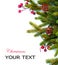 Christmas. Fir tree Border Design