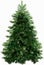 Christmas firtree with clipping path