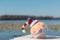 Christmas in Florida theme, santa bulb  on a beach at Lake Louisa State Park in Clermont, Florida