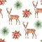 Christmas flower, deer and spruce, watercolor seamless pattern