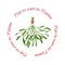 Christmas Flower Mistletoe and a short phrase - meet me under the mistletoe. Festive illustration with hanging sprigs of