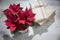 Christmas flower - Poinsettia star and boxes with gifts for Christmas on a wooden table. View from above