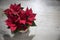 Christmas flower - Poinsettia star and boxes with gifts for Christmas on a wooden table. View from above