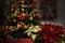 Christmas Flowers,Poinsettia plant,candles,illuminated tree background