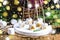 Christmas Food Concept Toasted Marshmellow on Sticks on Wooden Tray Wooden Background Cones Wicker Picnic Basket Blanket Fir branc