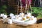 Christmas Food Concept Toasted Marshmellow on Sticks on Wooden Tray Wooden Background Cones Wicker Picnic Basket Blanket Fir branc